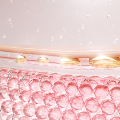 コラーゲンバンキングとは