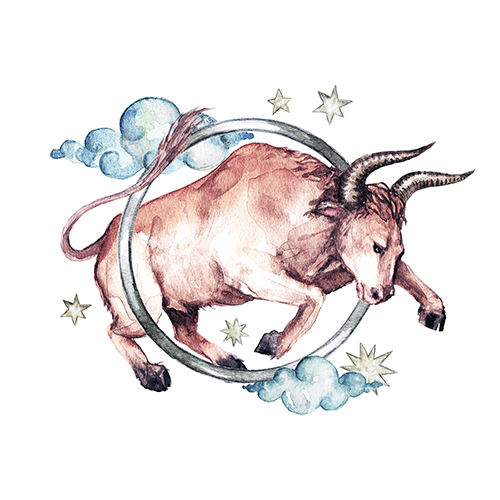 Taurus - Zodiac Symbol. Watercolor Illustration.