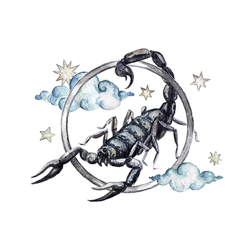 Scorpio - Zodiac Symbol. Watercolor Illustration.