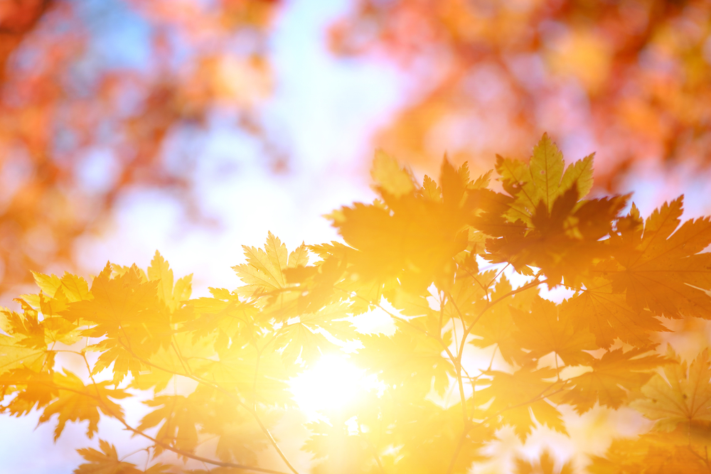 秋の紫外線対策